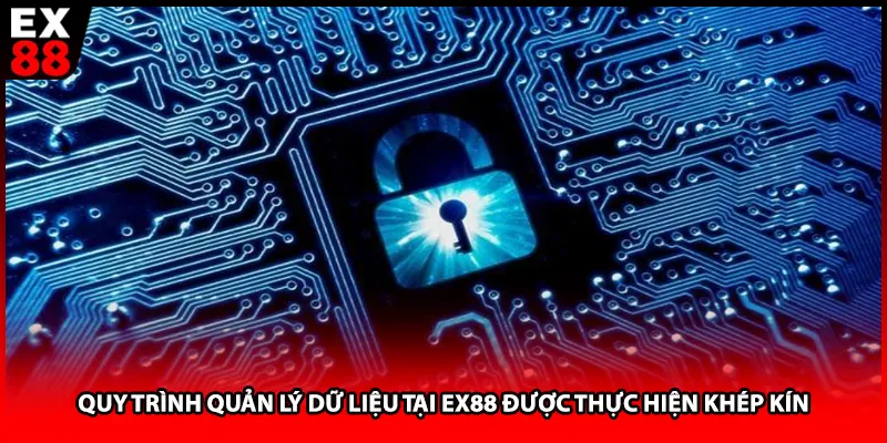Quy trình quản lý dữ liệu tại EX88 được thực hiện khép kín